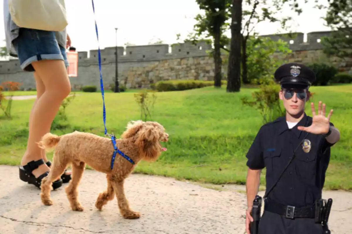 Fotomuntatge d´un gos passejant i un policia donant l´alt