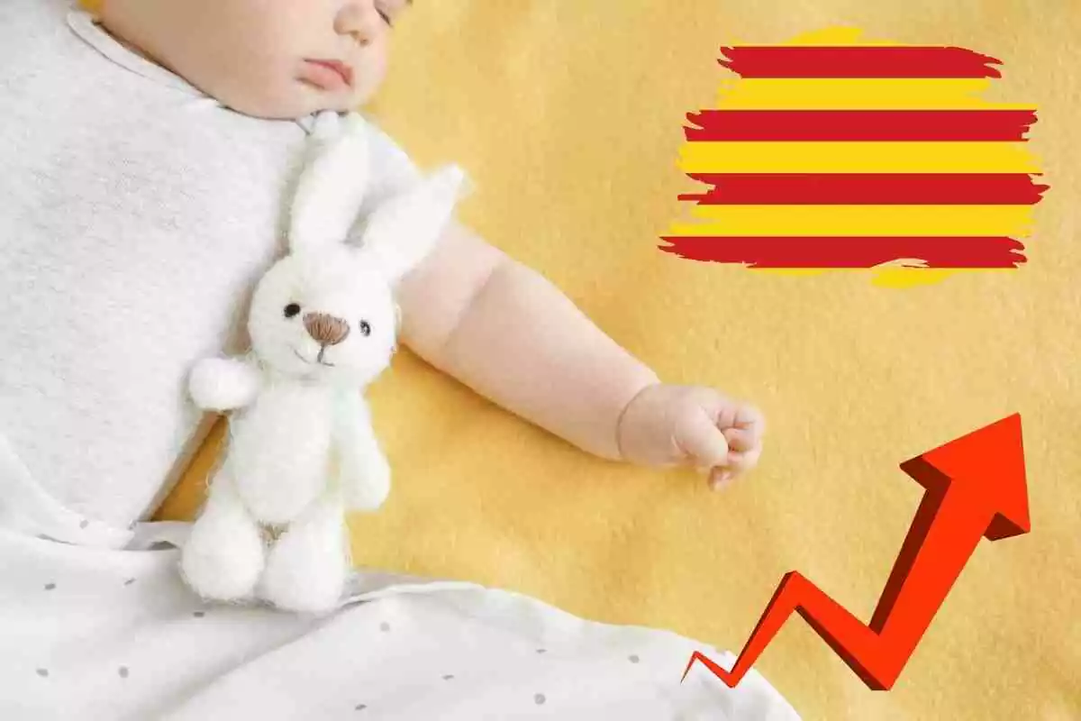 Fotomuntatge amb una imatge de fons d'un bebè i al capdavant una gràfica d'augment i una bandera catalana