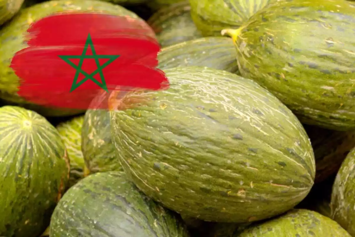 Fotomuntatge amb una imatge de fons d'uns melons i al capdavant la bandera del Marroc