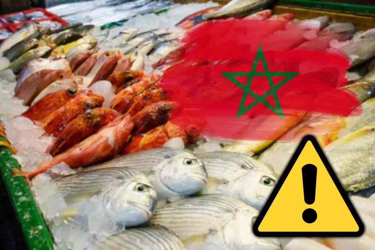 Fotomuntatge amb una imatge de fons de peix i al capdavant una bandera del Marroc i un símbol d'alerta