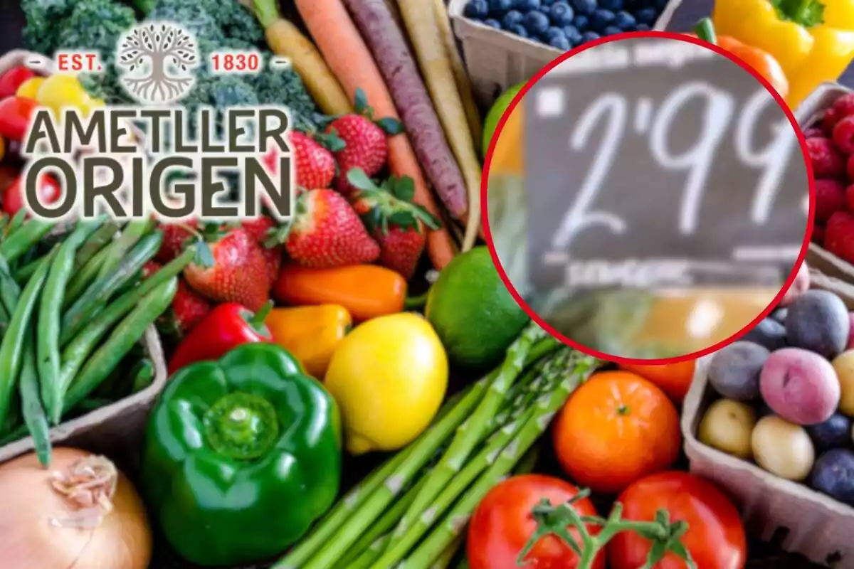 Fotomuntatge amb una imatge de fons de fruita i verdura i al capdavant el logotip d'Ametller Origen i una rodona vermella amb la procedència del meló d'Alger