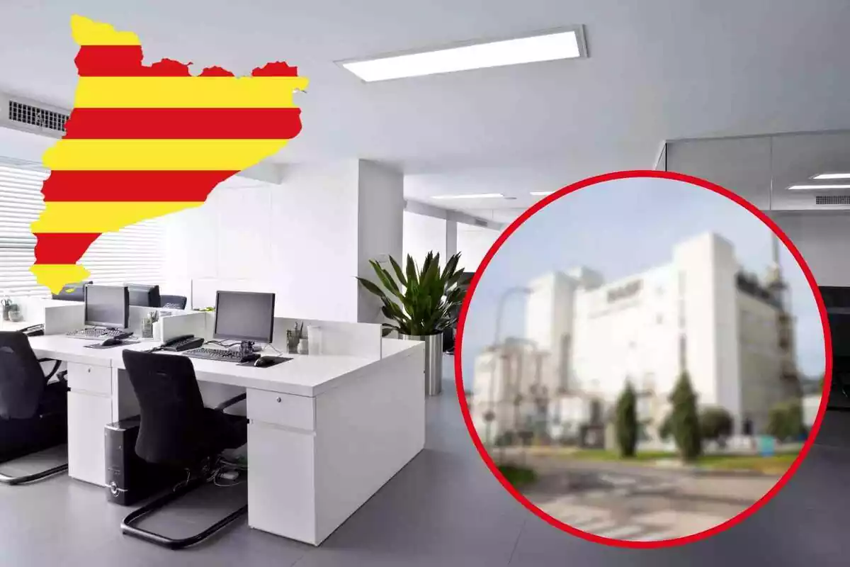 Fotomuntatge amb una imatge de fons de les oficines d'una empresa i al capdavant un mapa de Catalunya amb la bandera catalana i una rodona vermella amb una planta difuminada de BASF