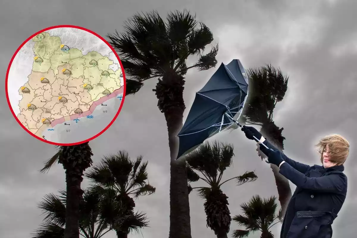 Muntatge fotogràfic d'una imatge amb unes palmeres i un mapa amb alertes per vent
