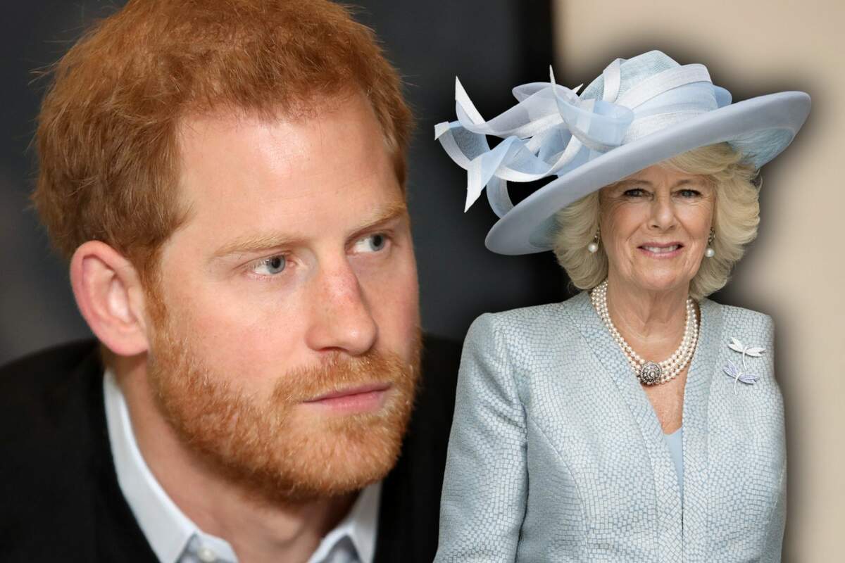 Queen Camilla is Targeted Due to What Prince Harry Says About Her: No Queen Camilla is Targeted Due to What Prince Harry Says About Her: No