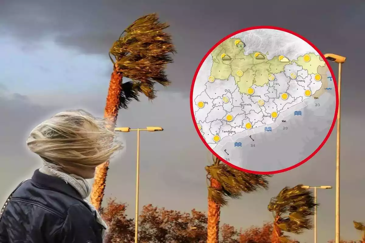 Muntatge fotogràfic entre una imatge de palmeres, una dona afectada pel vent i un mapa del meteocat