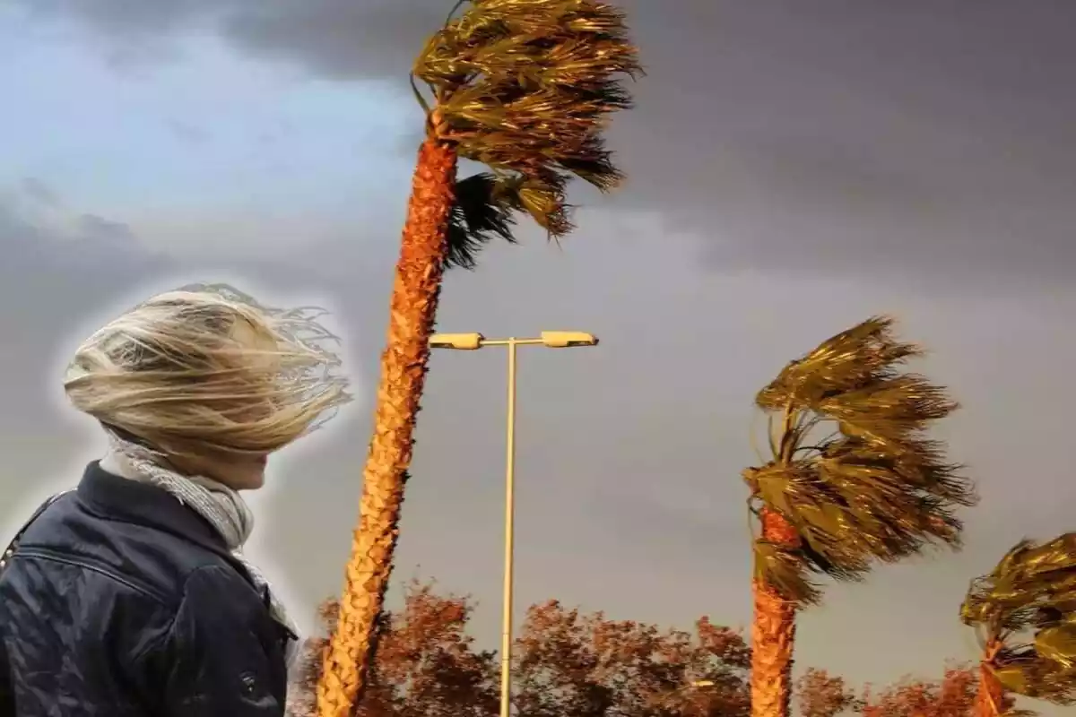 Fotomuntatge entre una imatge de palmeres amb vent i una dona amb els cabells volant
