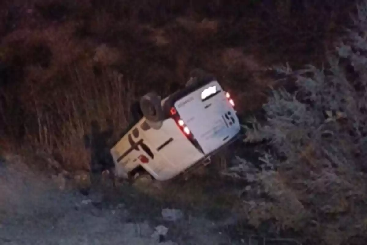 Una camioneta blanca bolcada en una àrea amb vegetació.