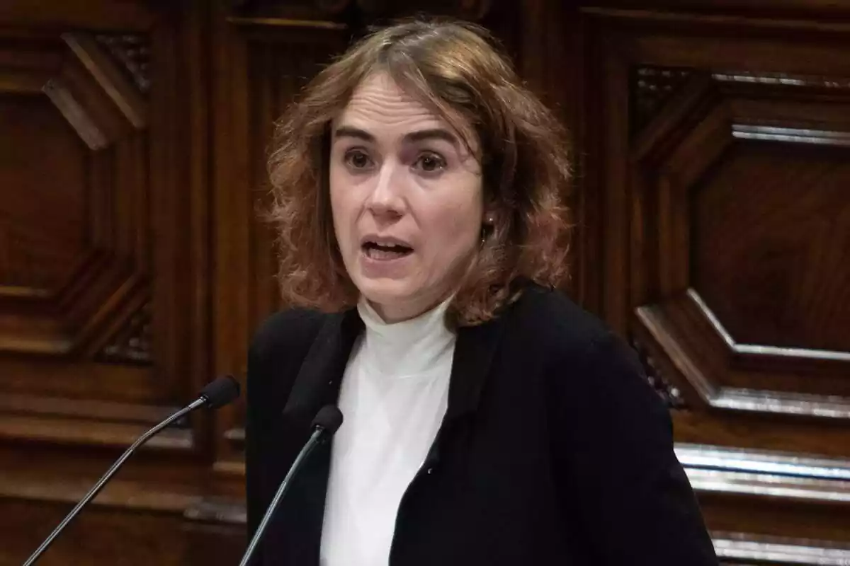 Gemma Ubasart al Parlament de Catalunya