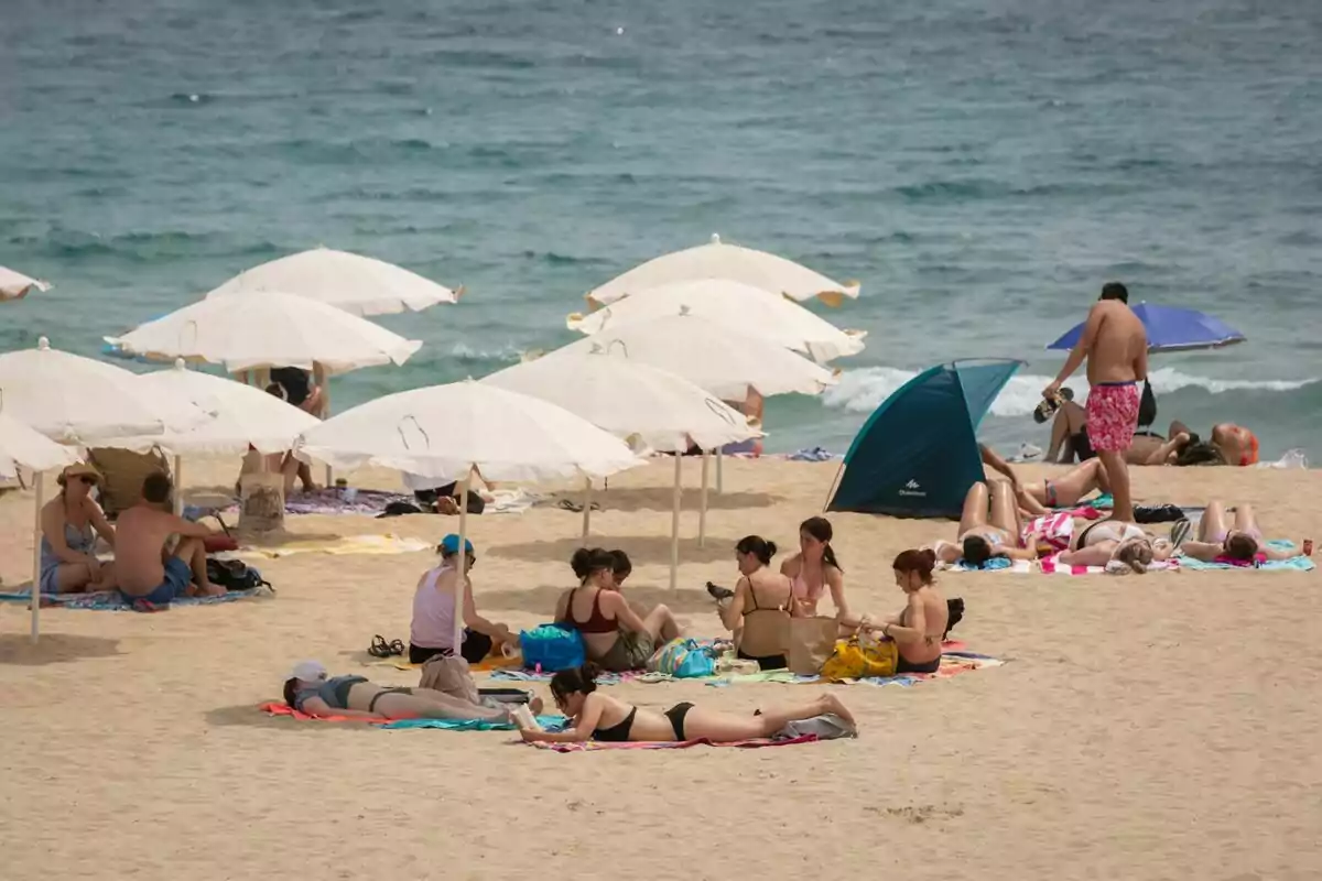 Banyistes durant la nova prohibició de fumar, a la platja del Bogatell, a 25 de juliol de 2022, a Barcelona, Catalunya (Espanya)