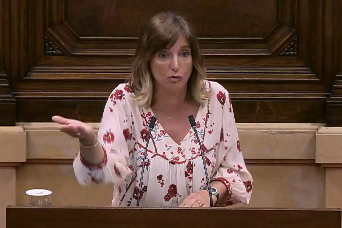Dona parlant en un faristol amb micròfons en un entorn parlamentari, porta una brusa clara amb flors vermelles i gesticula amb una mà.