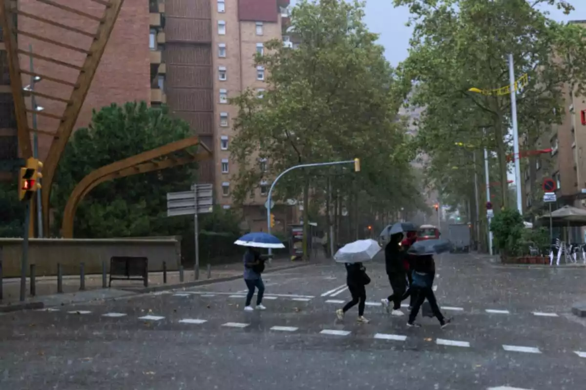 Persones creuen un carrer sota la pluja intensa usant paraigües en un entorn urbà amb edificis i arbres al voltant. Persones creuen un carrer sota la pluja intensa usant paraigües en un entorn urbà amb edificis i arbres al voltant.