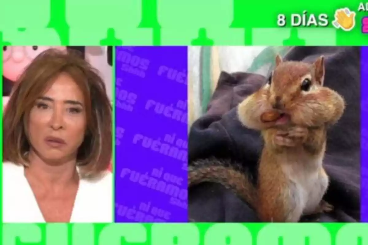 Una dona amb expressió seriosa apareix en un requadre a l'esquerra, mentre que a la dreta hi ha una esquirol amb galtes plenes de menjar; el fons és verd i porpra amb text. Una dona amb expressió seriosa apareix en un requadre a l'esquerra, mentre que a la dreta hi ha una esquirol amb galtes plenes de menjar; el fons és verd i porpra amb text.