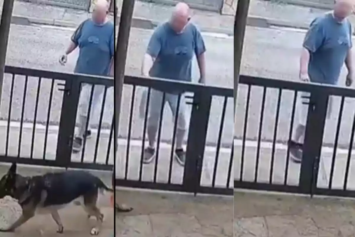 Un home amb samarreta blava i pantalons curts s'acosta a una porta de reixes mentre un gos passa pel davant.