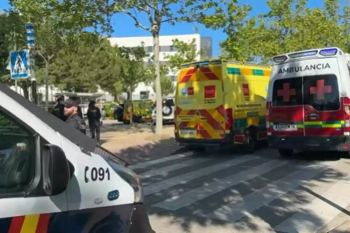 Diverses ambulàncies i un vehicle policial estan estacionats en un carrer arbrat mentre algunes persones, possiblement agents, es troben a prop.