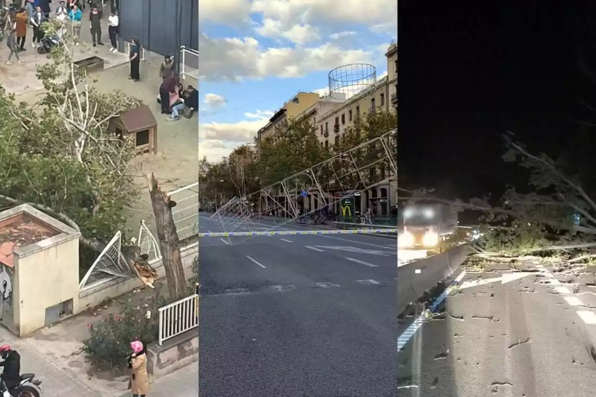 Muntatge fotogràfic de diverses afectacions del pas de la borrasca Ciarán a Catalunya
