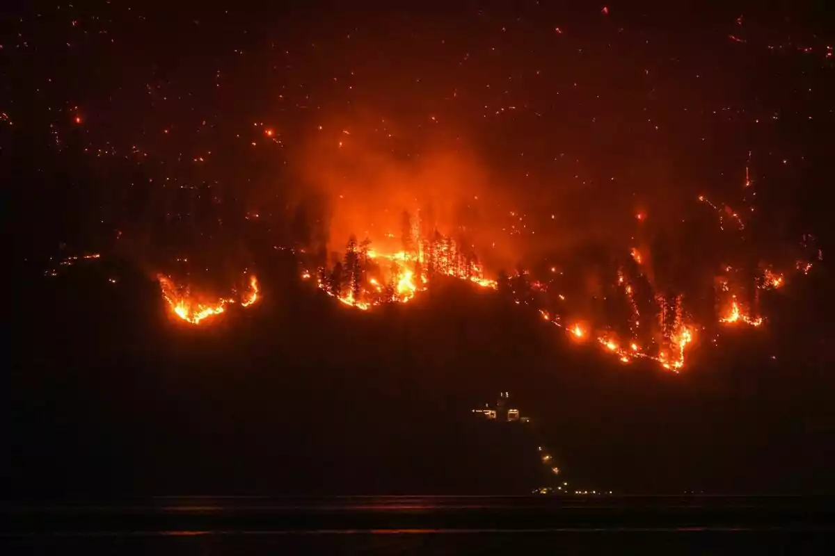 Incendio forestal ardiendo intensamente en una colina durante la noche. Incendio forestal ardiendo intensamente en una colina durante la noche.
