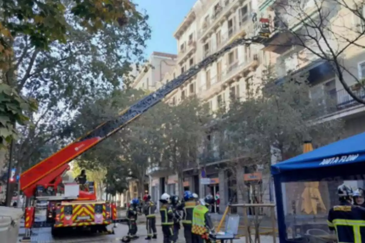 Bombers treballant en un edifici amb una escala estesa des d'un camió a un carrer arbrat.