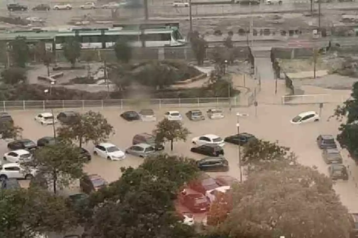 Un estacionament inundat amb diverses actuacions parcialment submergides a l'aigua.