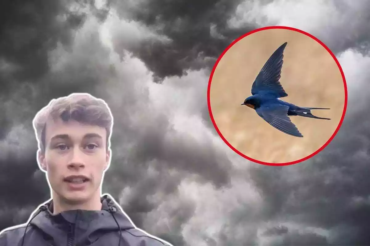 Muntatge amb una imatge de fons d'un cel ennuvolat i una imatge de Jorge Rey i una altra d'una oreneta volant