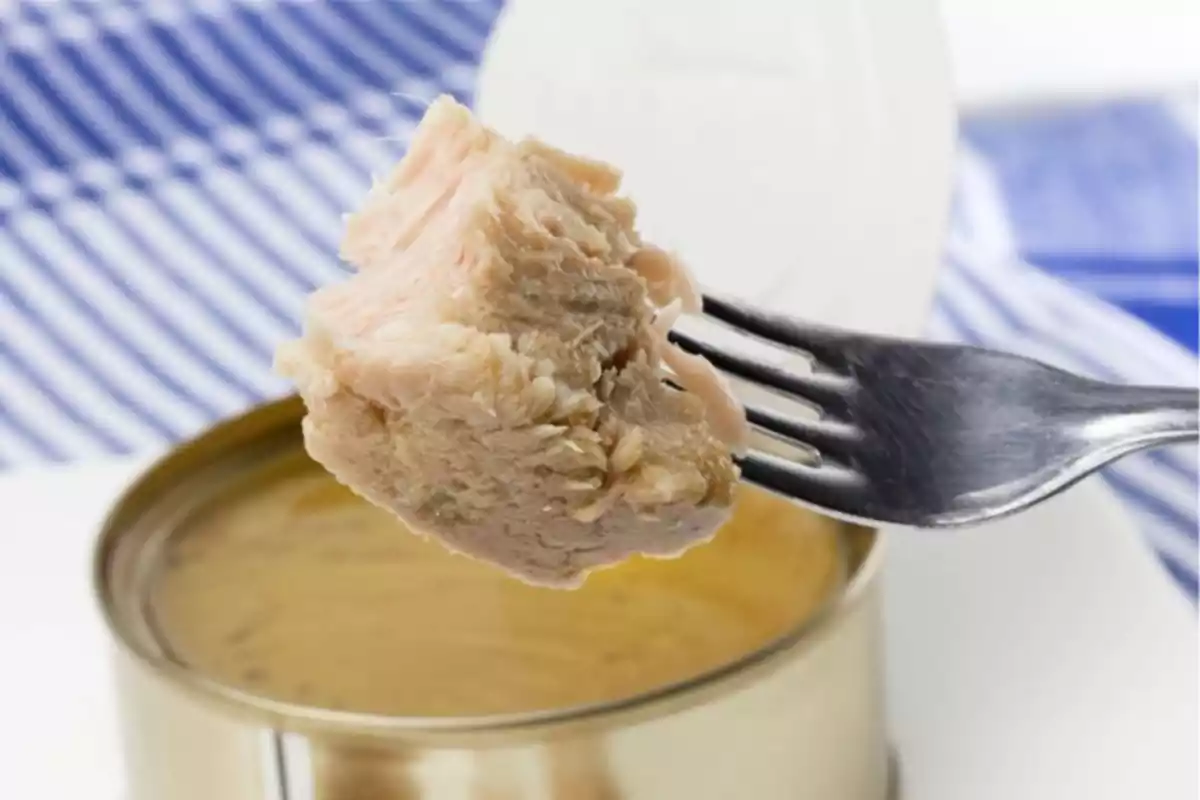 Imatge de tonyina en llauna amb una forquilla