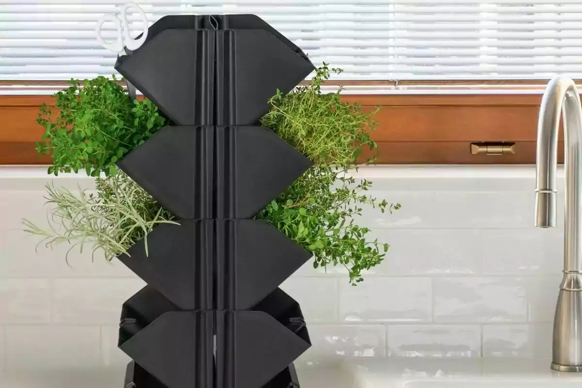 A black vertical organizer with green plants and scissors in a kitchen next to a window and a silver faucet. A black vertical organizer with green plants and scissors in a kitchen next to a window and a silver faucet.