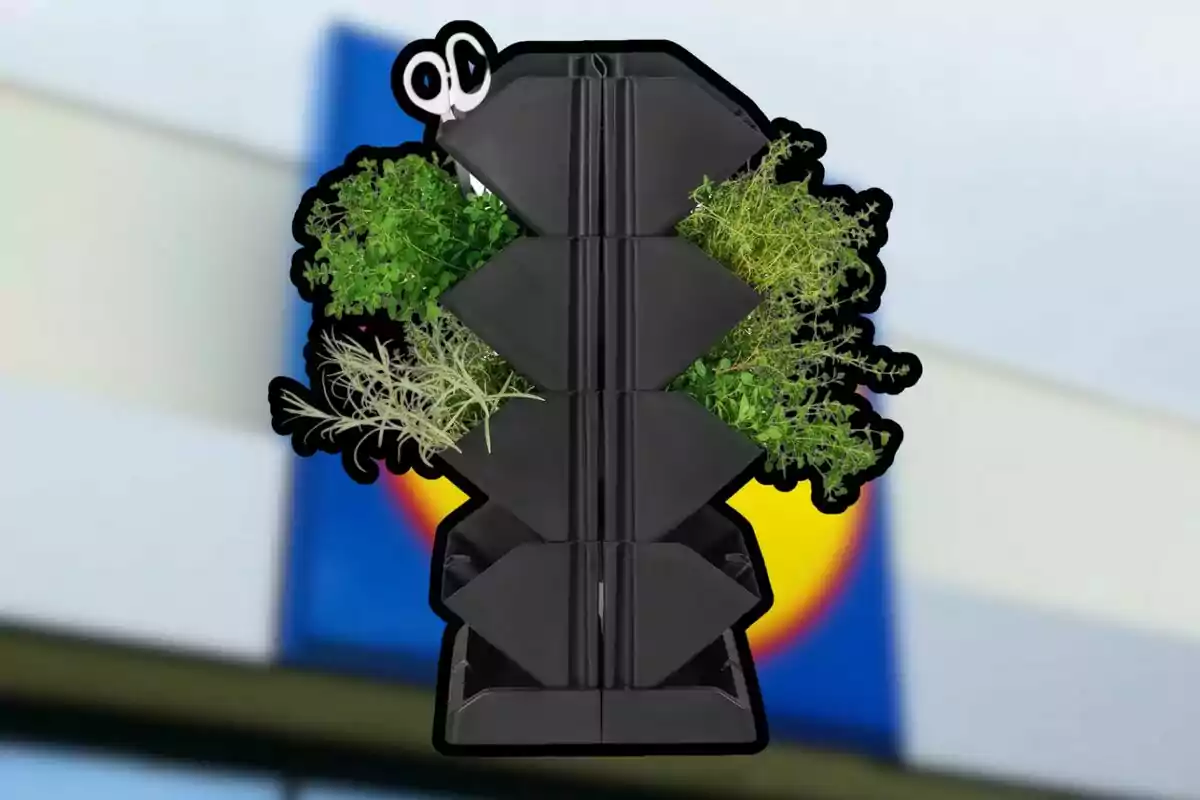 A black vertical organizer with green plants and scissors on top, against a blurred background with blue and yellow colors. A black vertical organizer with green plants and scissors on top, against a blurred background with blue and yellow colors.