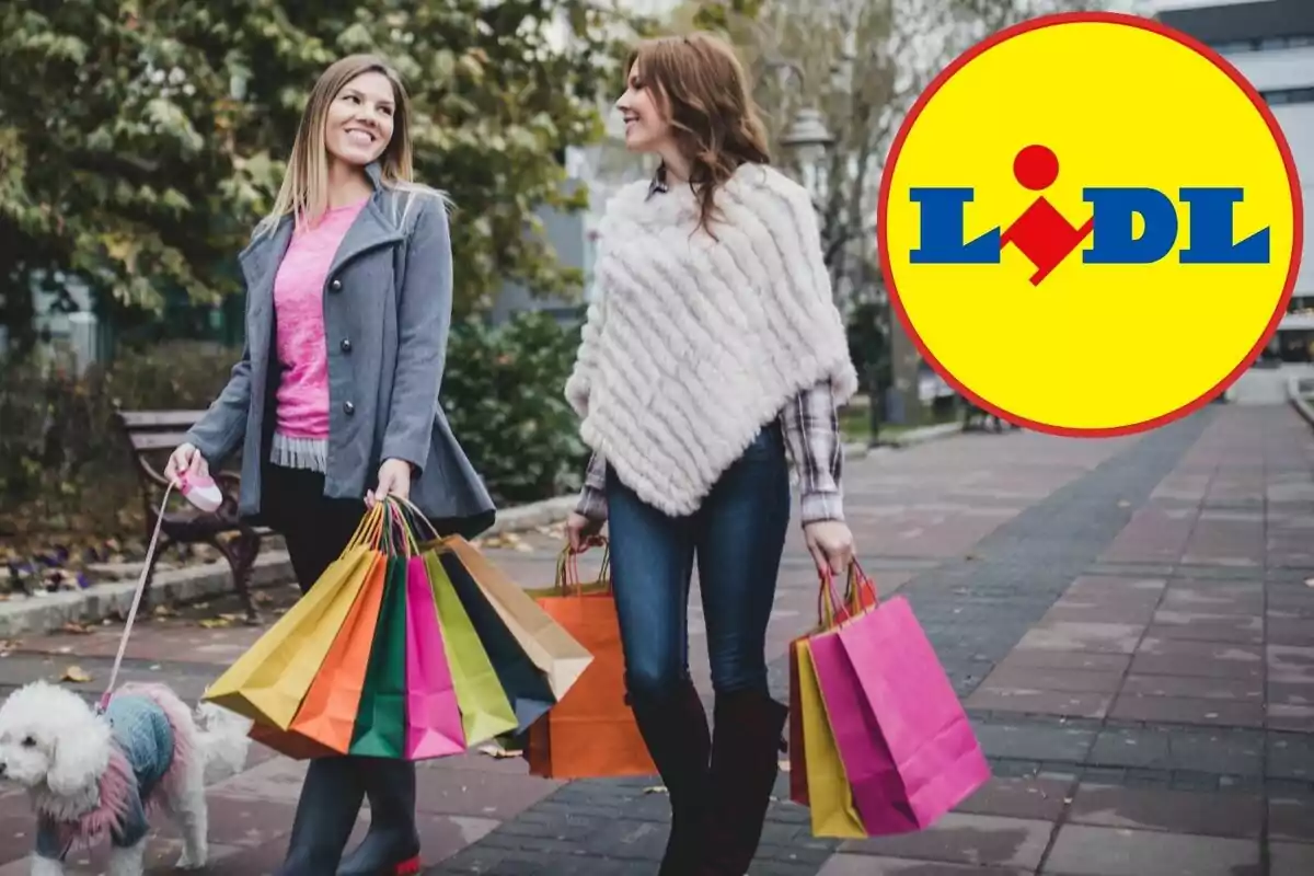 Dues dones caminant amb bosses de compres i un gos petit en un parc amb el logo de Lidl a la cantonada.