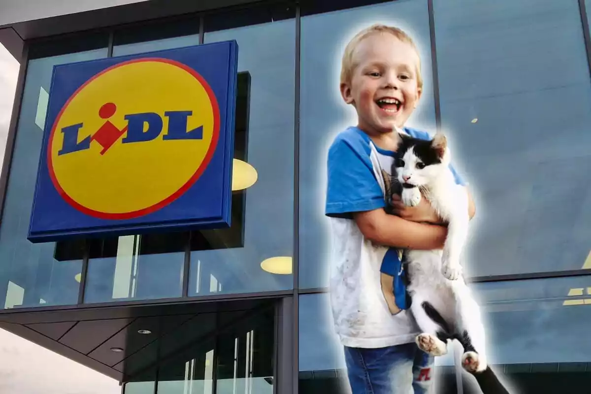 Un nen somrient sosté un gat davant una botiga Lidl.