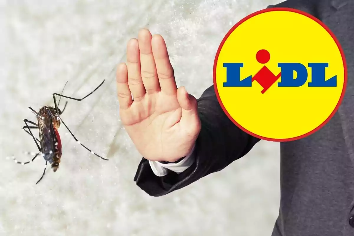 Una mà detenint un mosquit amb el logotip de Lidl superposat.