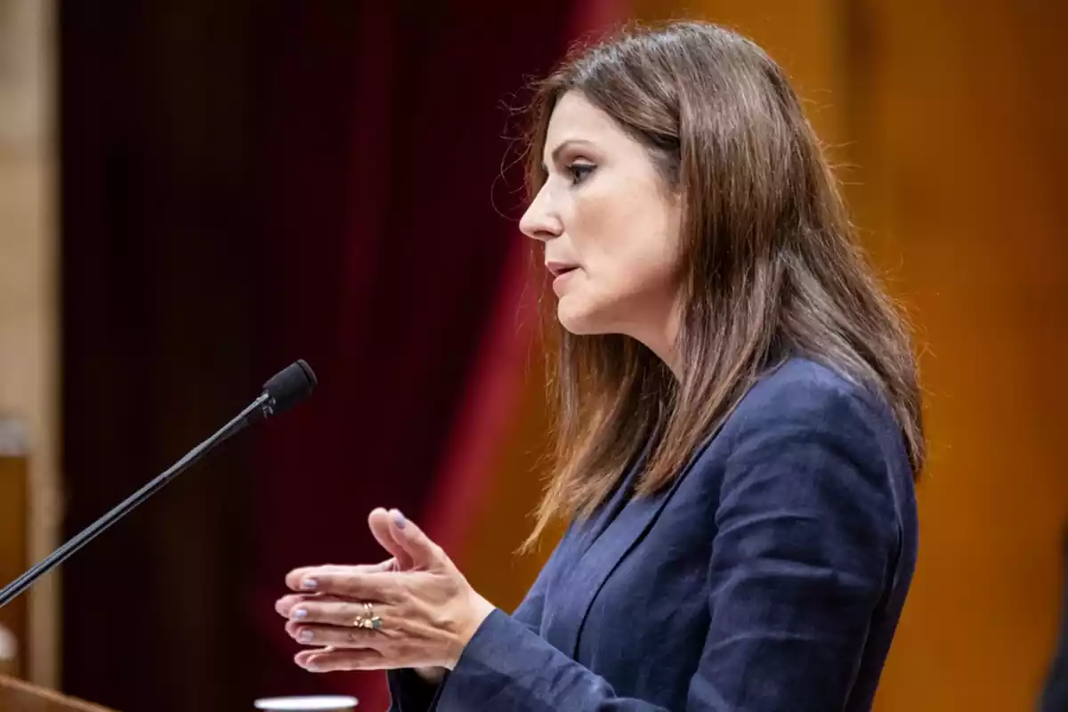 Perfil de Lorena Roldán al faristol del parlament