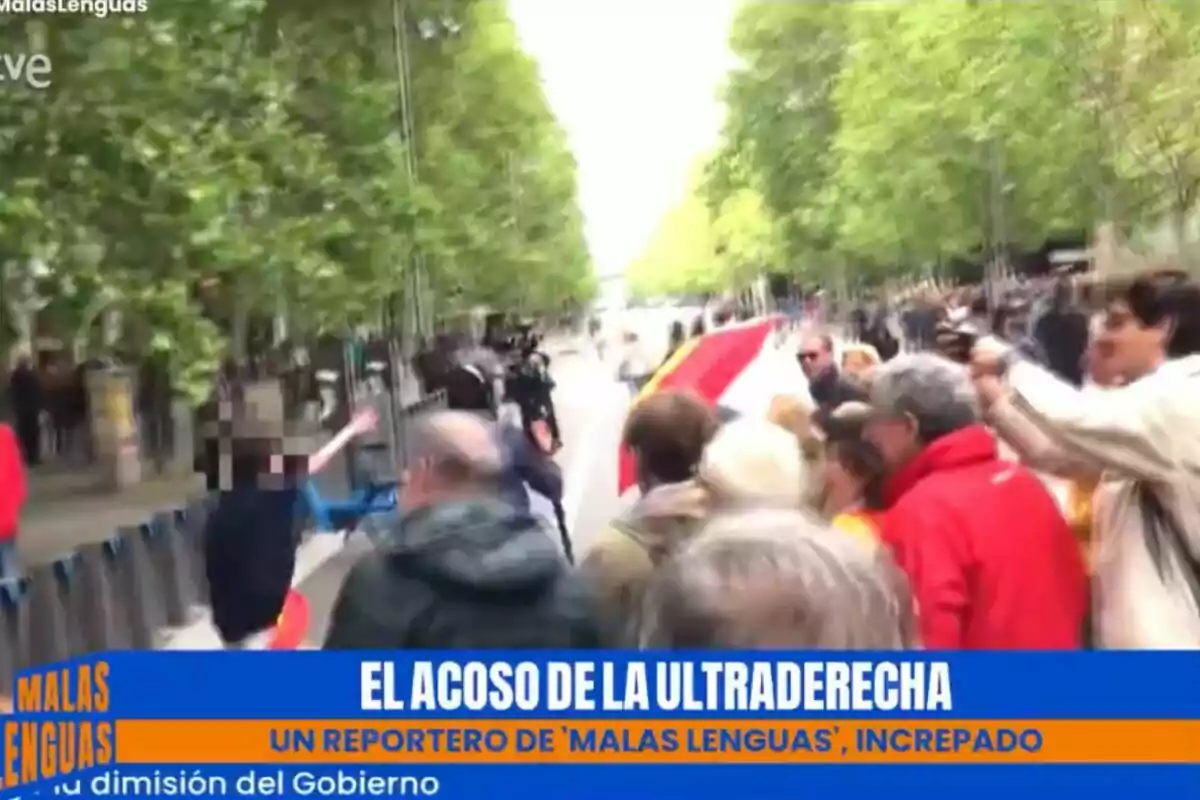 Una multitud es reuneix en un carrer arbrat mentre un reporter de Una multitud es reuneix en un carrer arbrat mentre un reporter de