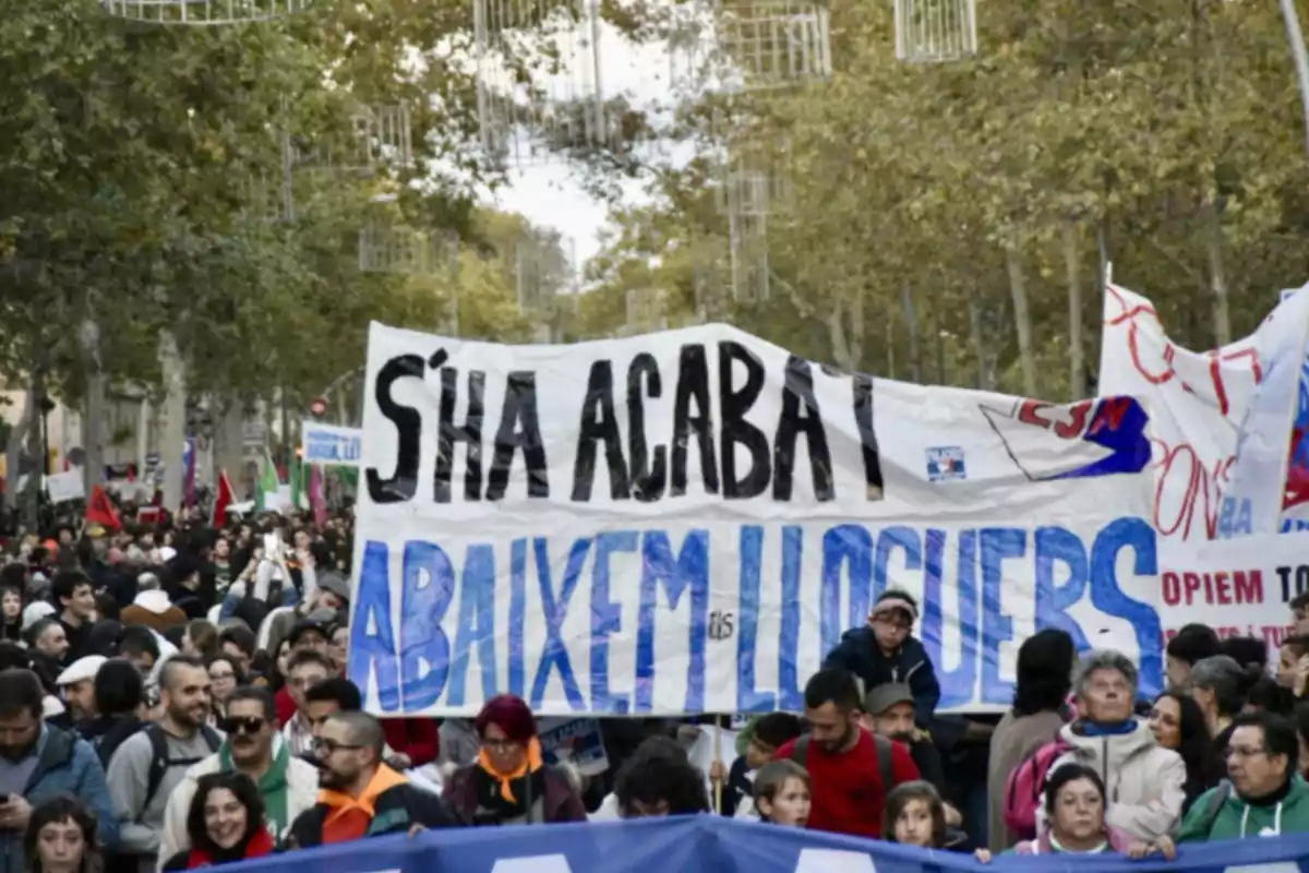 Una multitud de persones participa en una manifestació sostenint pancartes amb missatges en català a un carrer arbrat.