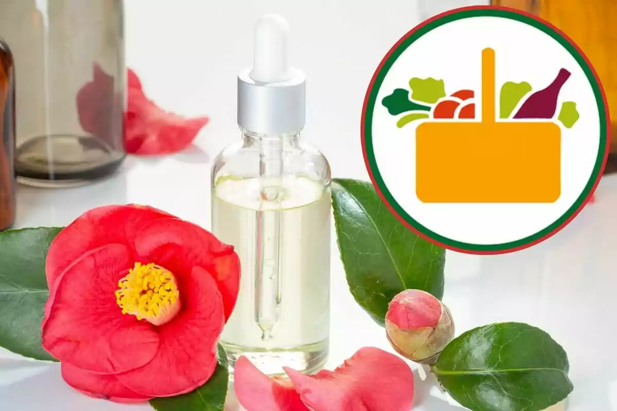 Ampolla d'oli essencial amb goter envoltada de flors i fulles, juntament amb un logotip d'una cistella amb fruites i verdures. Ampolla d'oli essencial amb goter envoltada de flors i fulles, juntament amb un logotip d'una cistella amb fruites i verdures.