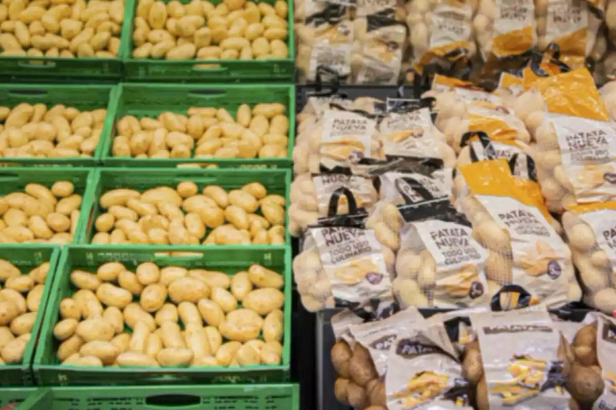 Patates fresques en caixes verdes al costat de bosses de patates envasades en un supermercat Patates fresques en caixes verdes al costat de bosses de patates envasades en un supermercat