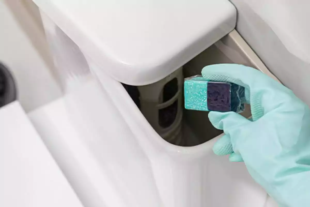 A gloved hand places a cleaning tablet in a toilet tank. A gloved hand places a cleaning tablet in a toilet tank.