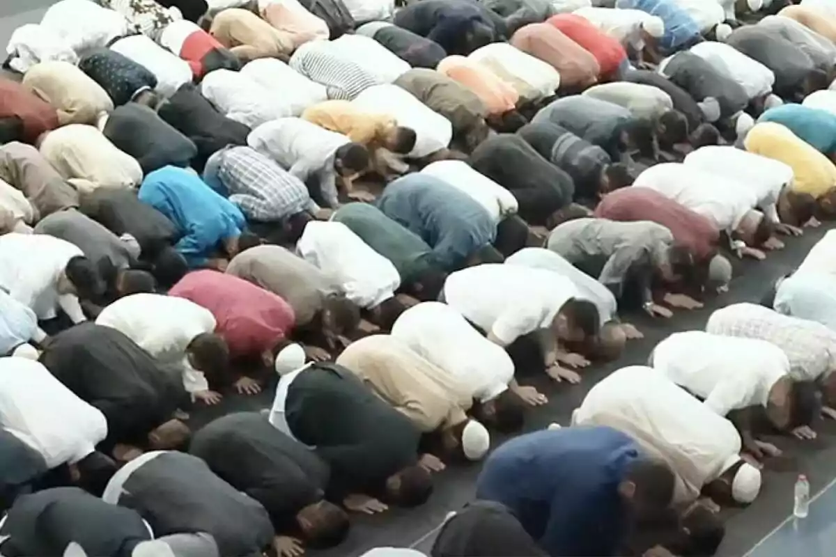 A group of people performing a prayer in a mosque, bent forward in organized rows.