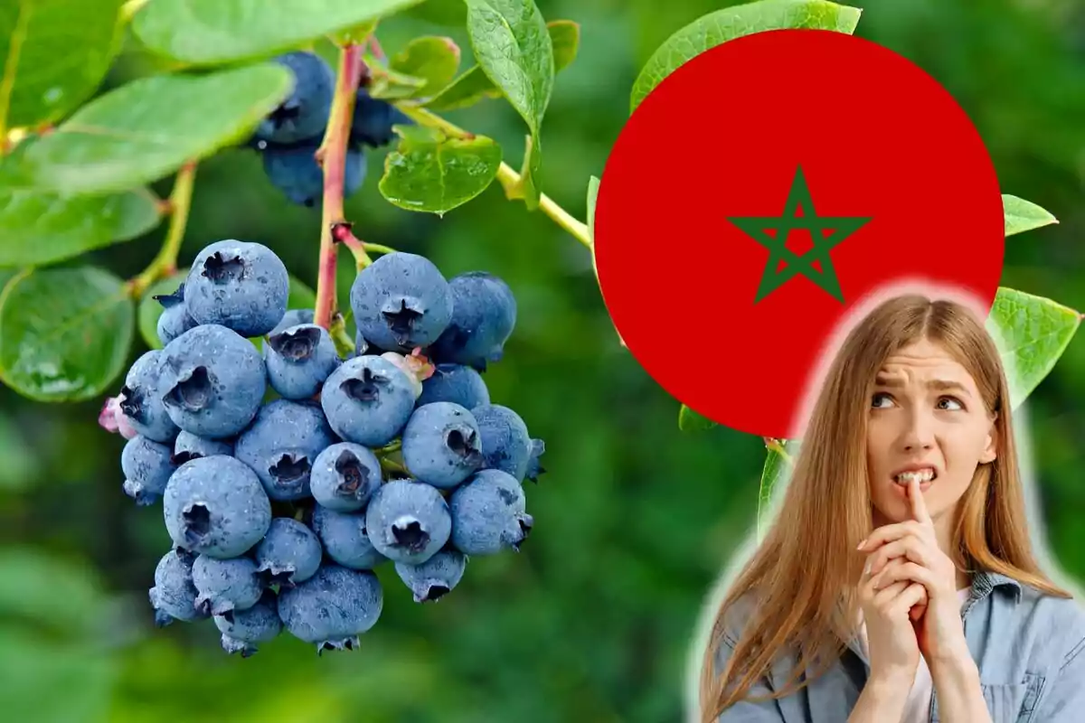 A thoughtful woman next to a bunch of blueberries and the flag of Morocco.