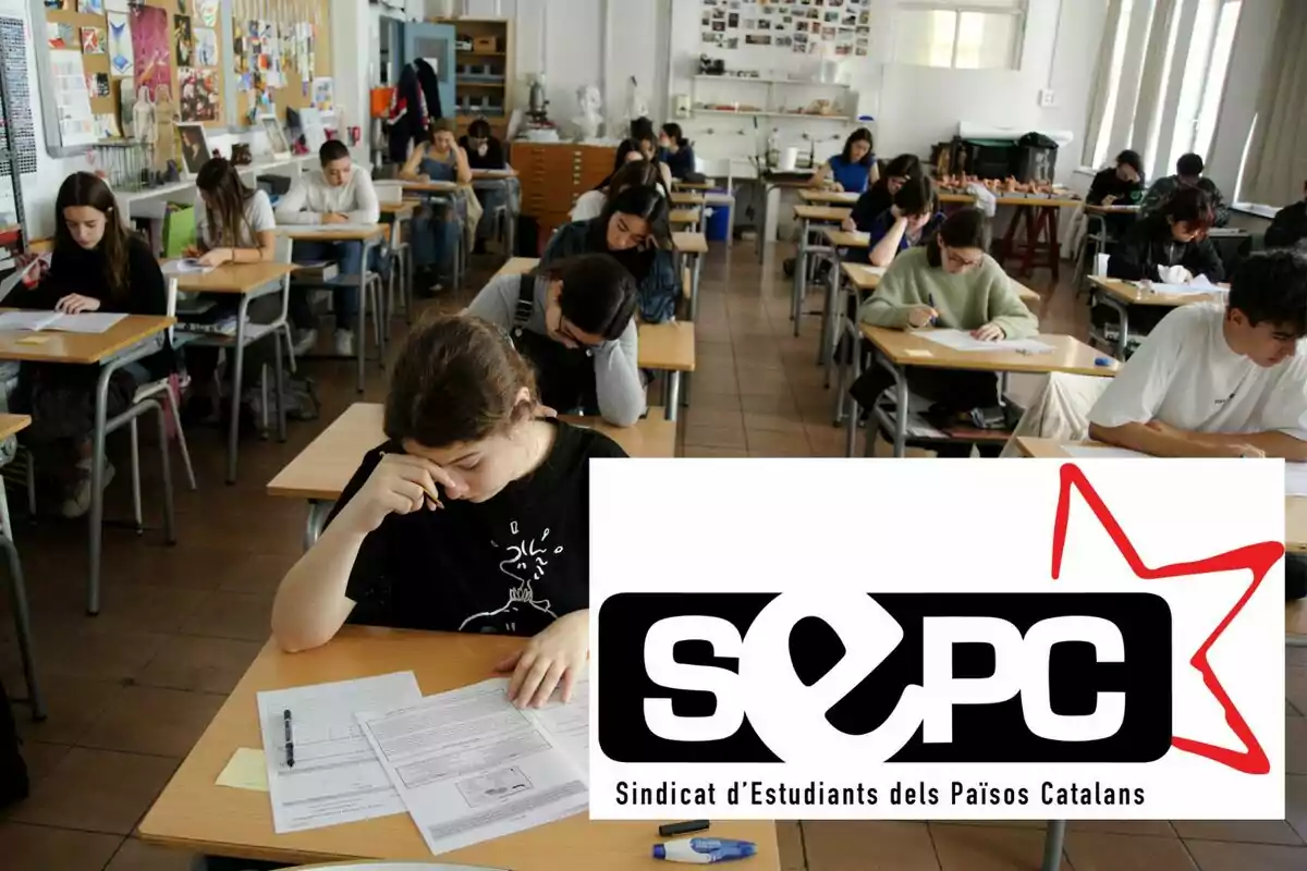 Muntatge d'una aula amb el logotip de SEPC