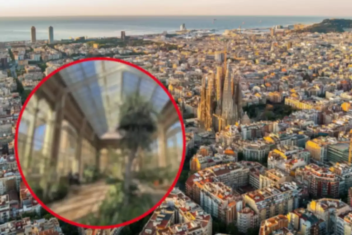 Muntatge de Barcelona i l'hivernacle de Barcelona difuminat
