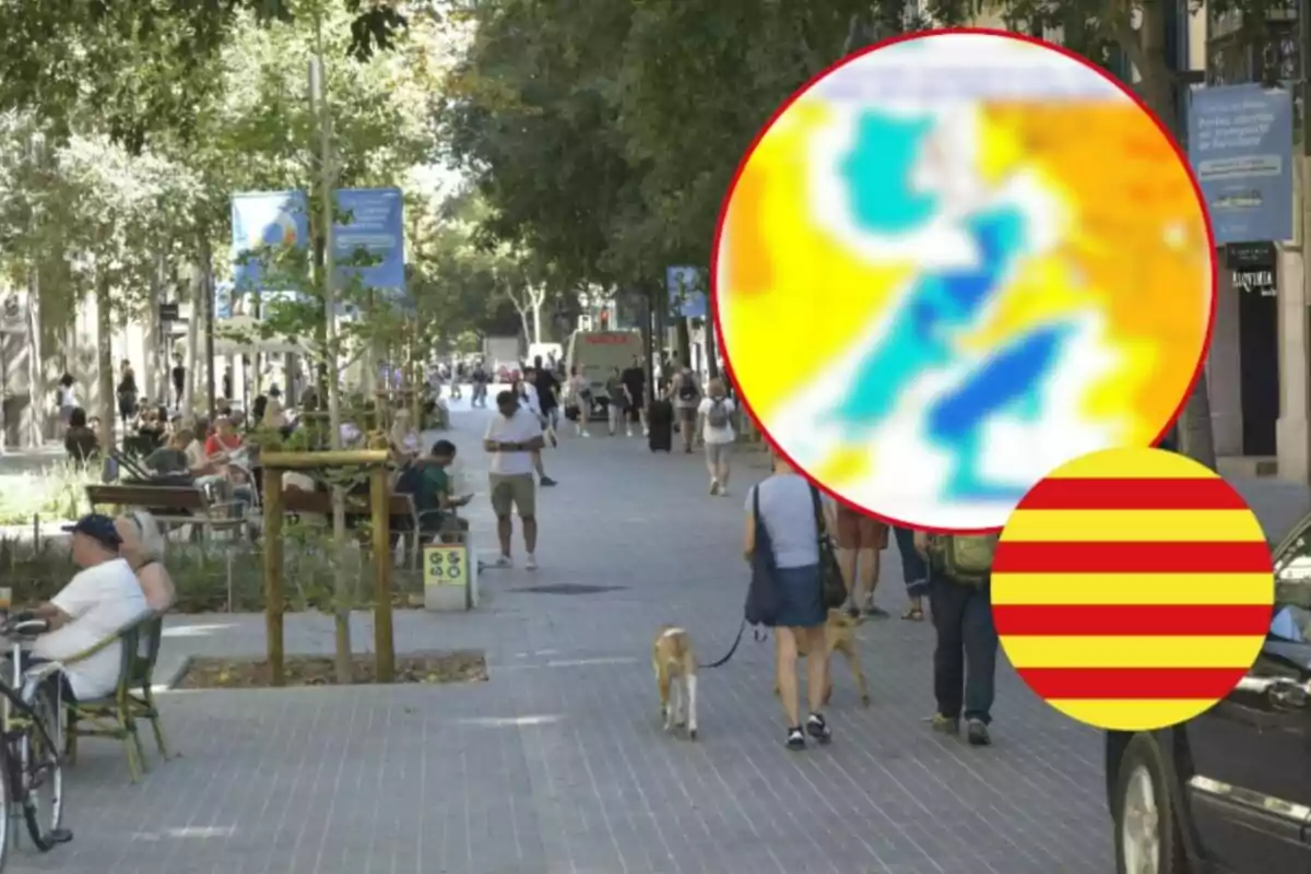 Un carrer de vianants amb persones caminant, algunes assegudes en bancs, i arbres als costats; a la cantonada inferior dreta hi ha un cercle amb una imatge borrosa i un altre amb una bandera de ratlles vermelles i grogues.