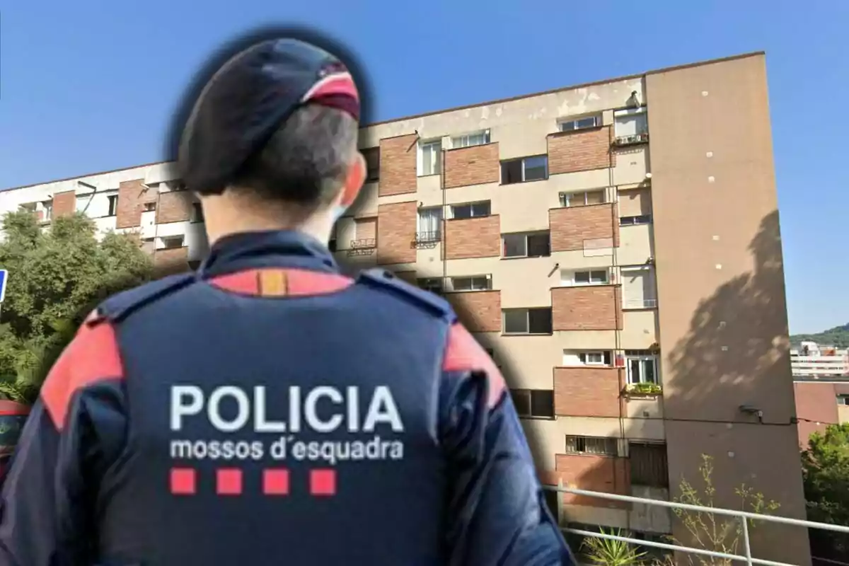 Agent dels Mossos d'Esquadra d'esquena davant d'un edifici d'apartaments en un dia assolellat