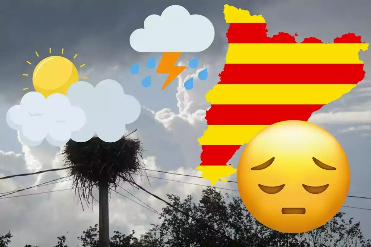 Imatge d'un niu de cigonya en un pal amb cables, amb icones de clima assolellat, ennuvolat, plujós i tempestuós, un mapa de Catalunya i un emoji trist superposats.