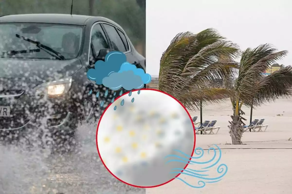 Un cotxe circula sota la pluja mentre a la platja les palmeres es mouen amb el vent fort.