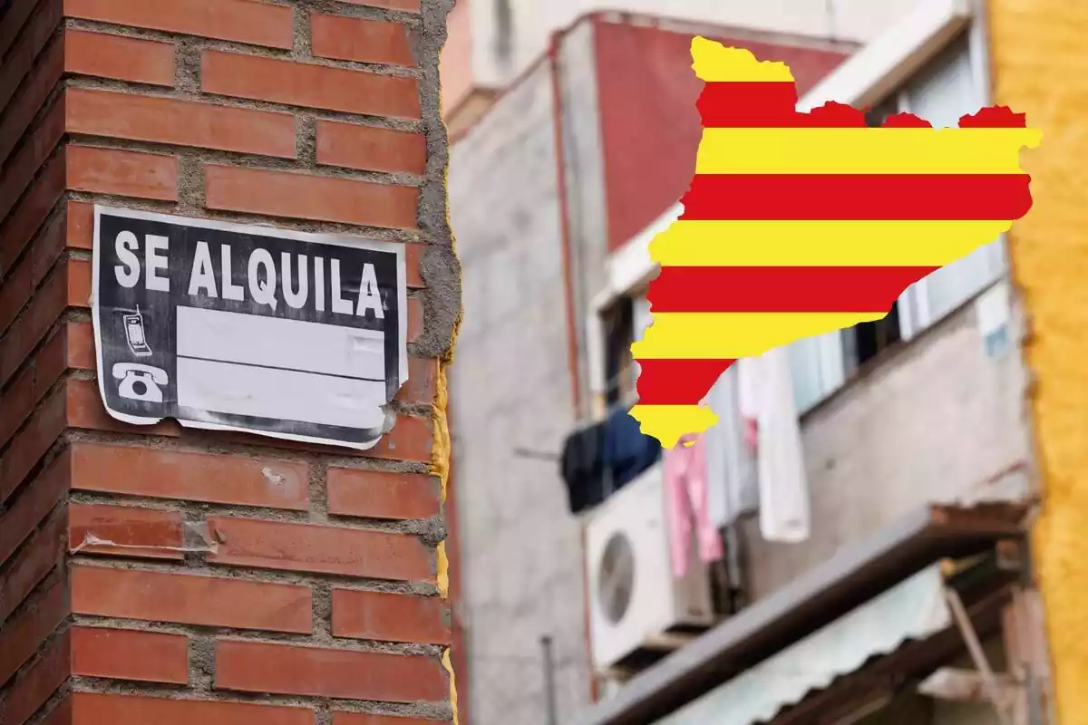Muntatge d'una columna al carrer amb un cartell de 'Se Lloga' amb el perfil de Catalunya i la bandera