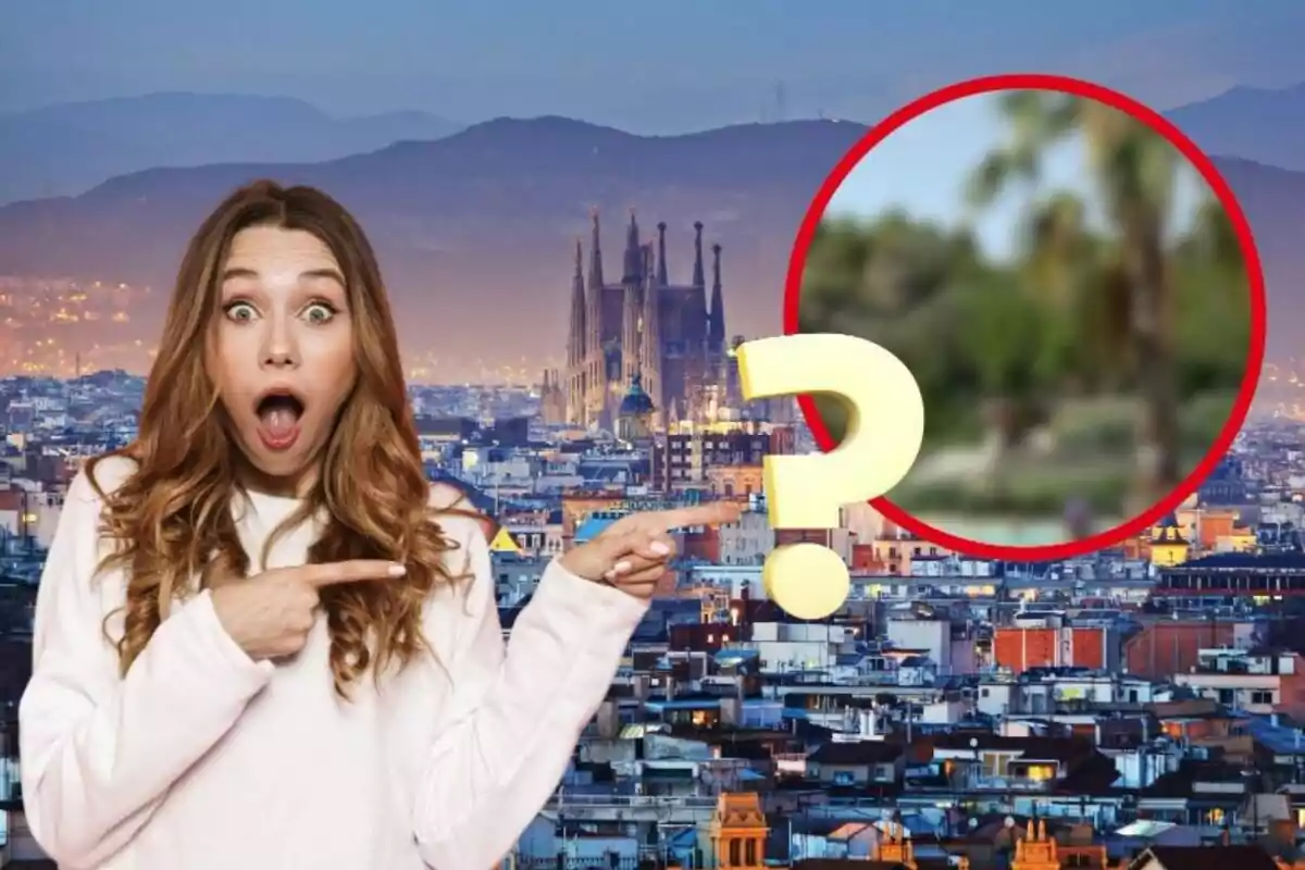 Muntatge de fotos de Barcelona i una noia sorpresa