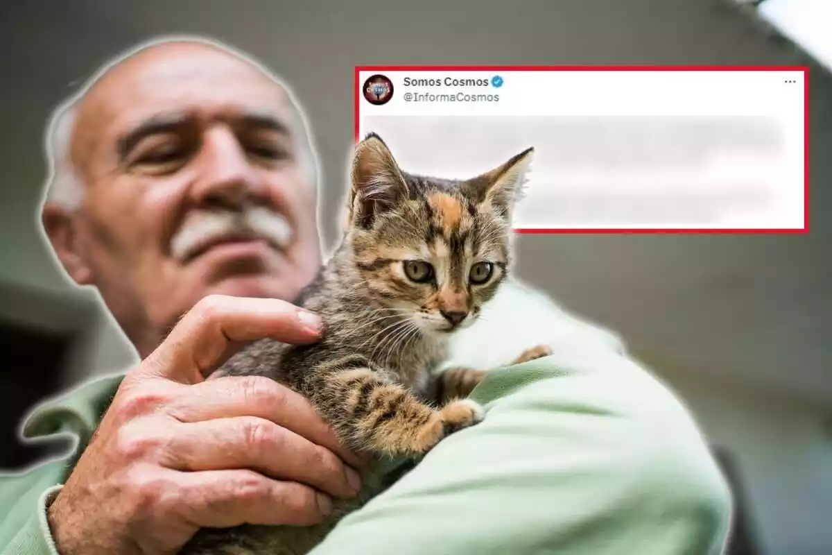 Muntatge de fotos d'un vell acariciant un gat i, de fons, la captura de pantalla d'un tweet amb el contingut borrós