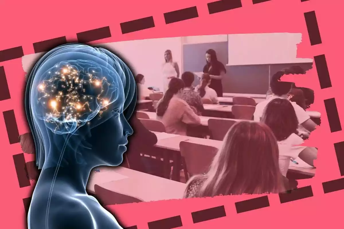 Una il·lustració d’un cervell humà il·luminat superposat sobre una imatge d’una aula amb estudiants i professors, amb un fons rosa i detalls en negre.