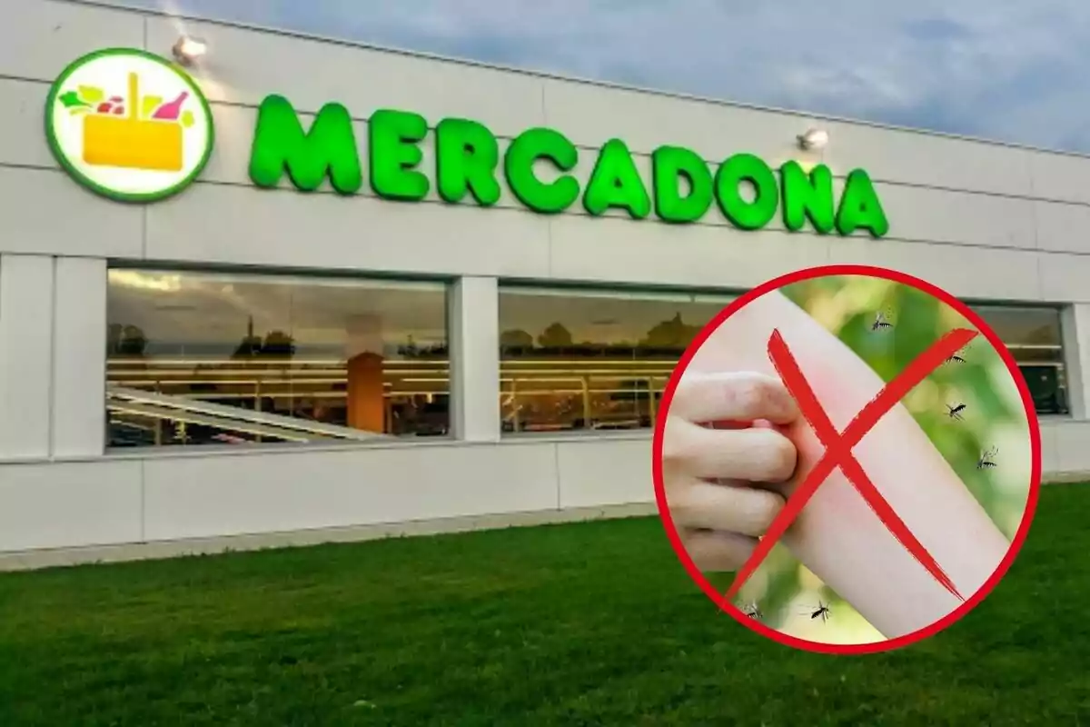 Façana d'un supermercat Mercadona amb un símbol de prohibició sobre una imatge d'una persona gratant-se el braç envoltat de mosquits.