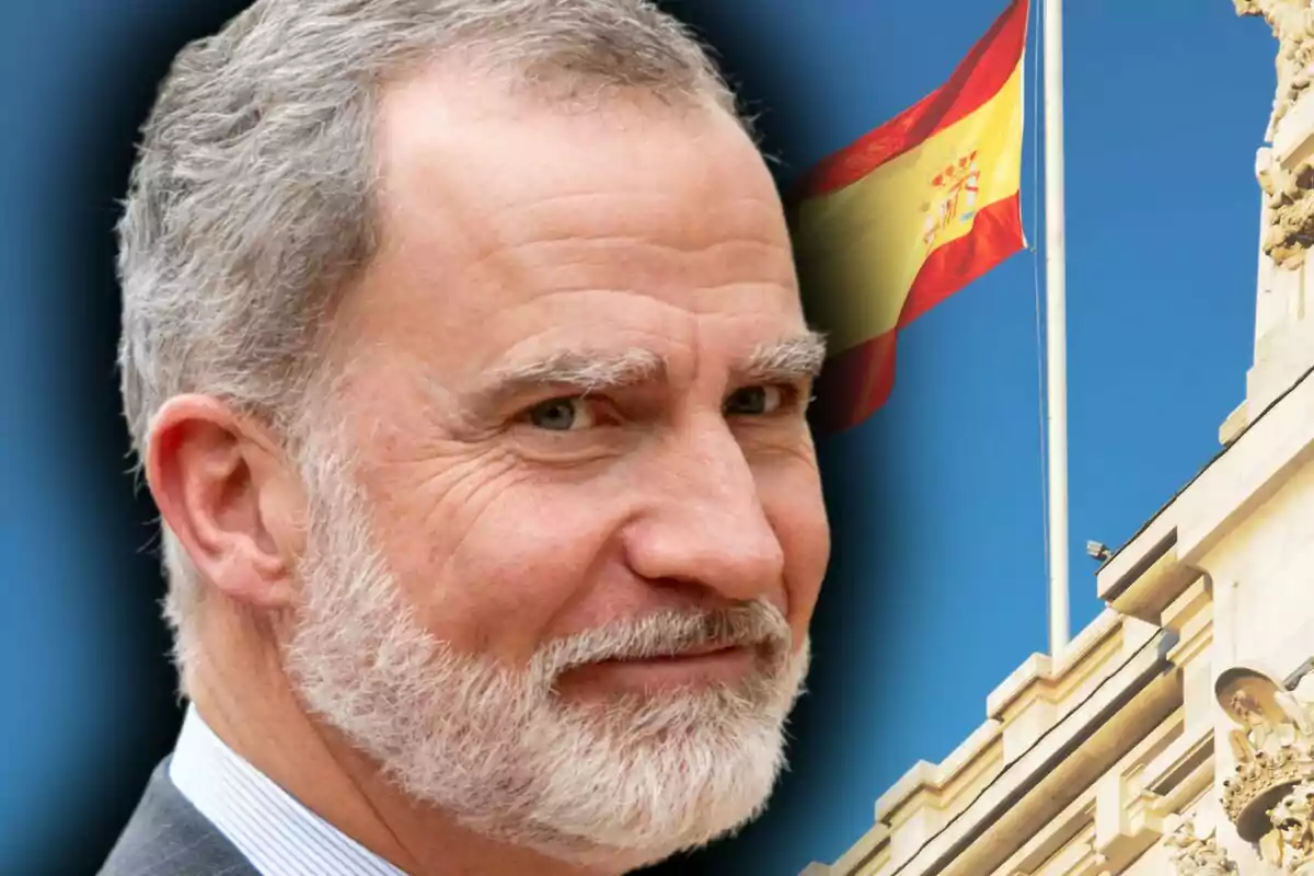 Muntatge de fotos en primer pla del rei Felip de Borbó amb rostre somrient i, de fons, una imatge de la bandera d’Espanya.