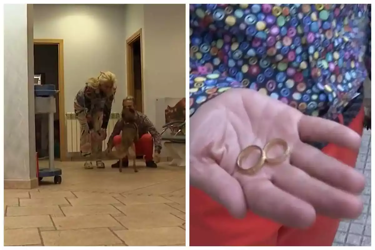 Muntatge de fotos d'una parella que es casarà properament acariciant el gos i, al costat, la imatge de les aliances del casament